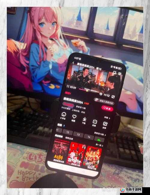 VIDEOCODEC WMVideoDecoder 免费播放：畅享高清视频无压力
