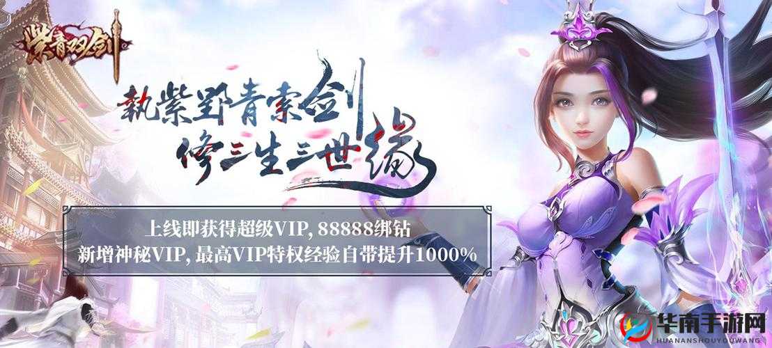 紫青双剑手游攻略，新手玩家如何快速成型并高效升级的全面解析