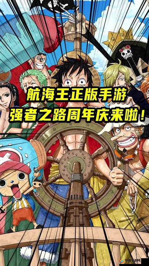 追寻梦想与冒险的足迹，深入剖析航海王的强者成长之路