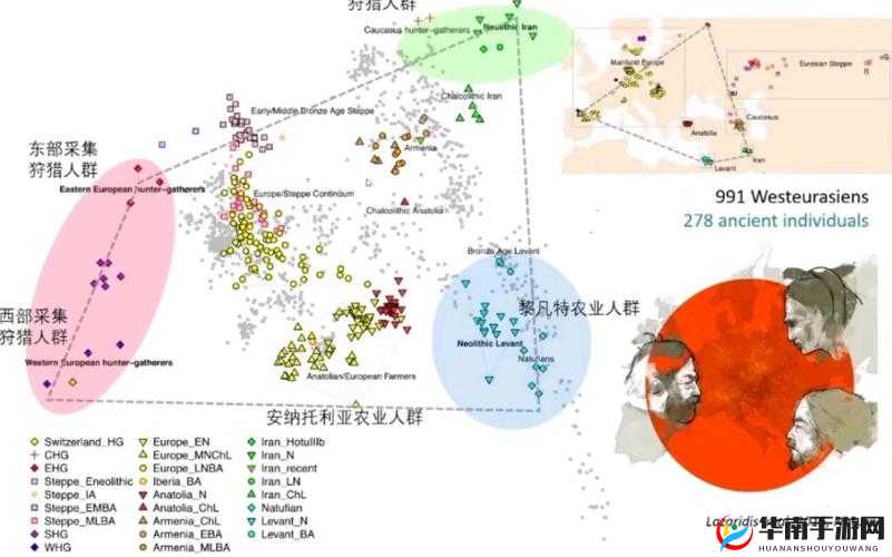 日本人与欧洲人 DNA 相似度：探究背后的基因奥秘和族群关联