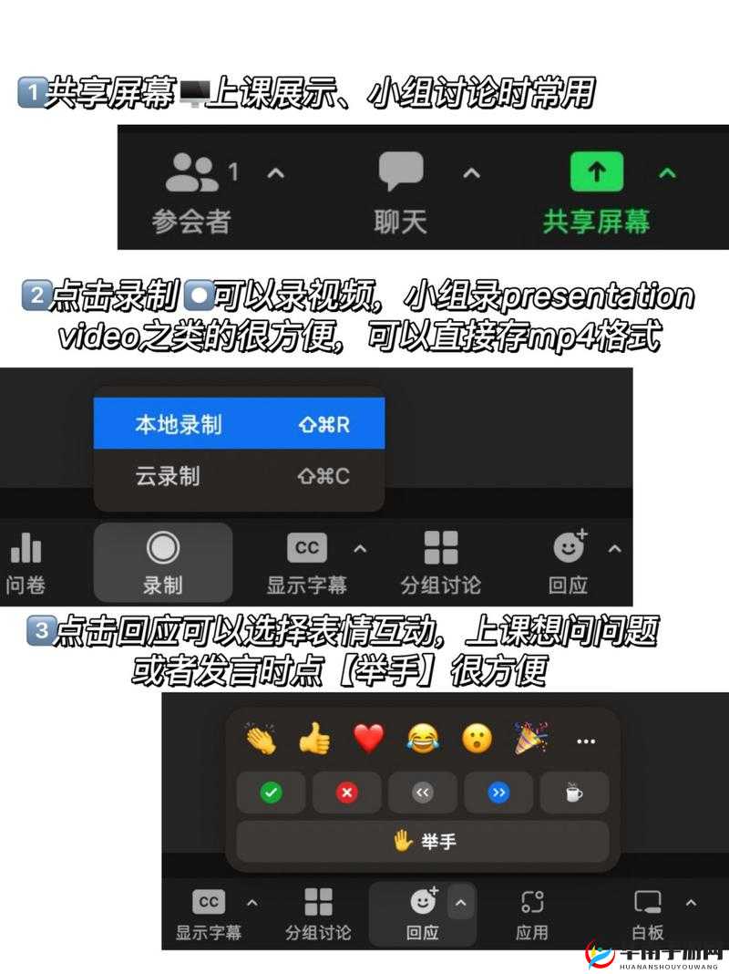 zoom 与动物 zoom 最新版本：功能介绍与使用指南
