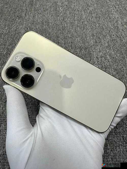 俄罗斯 iPhone-14-Pro 手机在俄罗斯市场的表现及影响力分析
