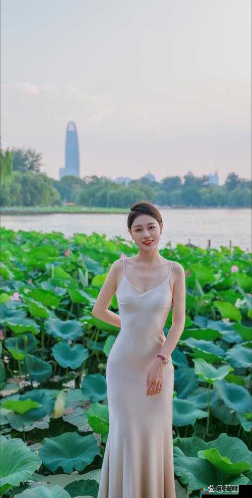 四川少妇搡搡搡：一段不为人知的故事
