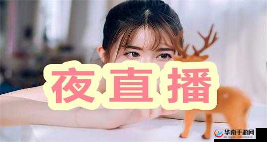 舒适成品 PPT 的网站免费直播有哪些：享受舒适体验，尽在直播中