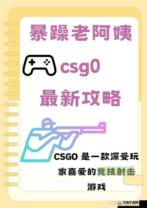暴躁老阿姨 CSGO 新手技巧：提升实力的关键要点