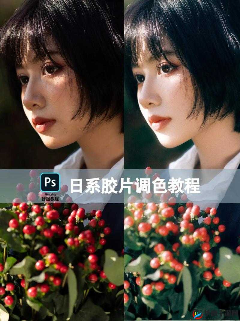 免费 PS 大片调色视频教程：从零基础到精通的全面指南