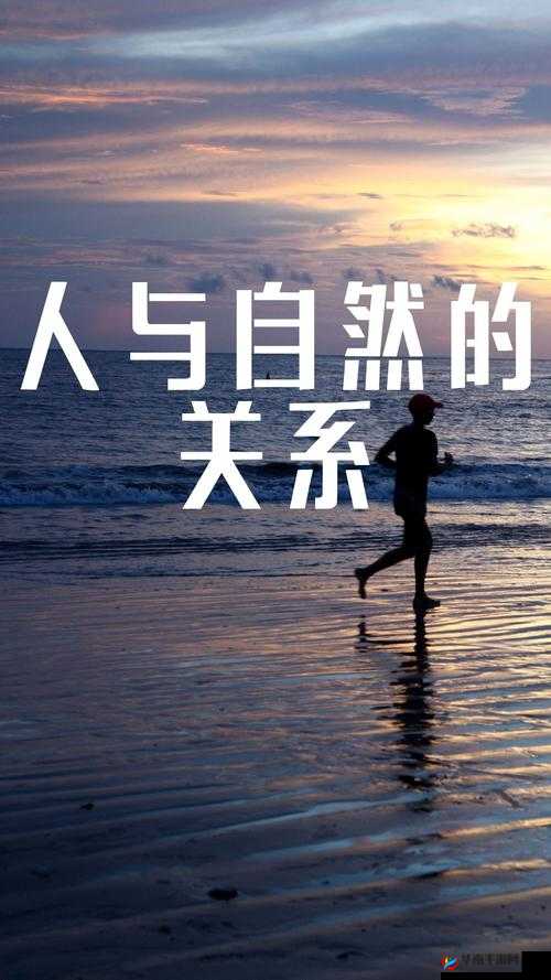 畜禽与人的和谐共生：探索可持续发展之路