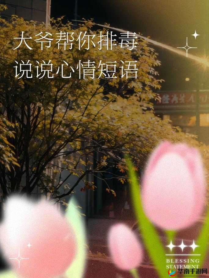 让大爷再帮你排排毒：一段匪夷所思的经历