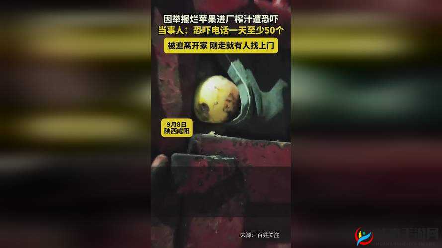 外国打牌生猴子视频大全精彩呈现