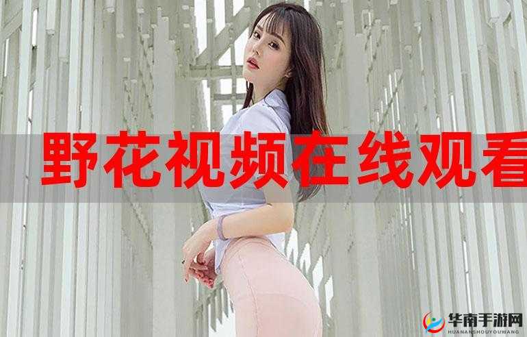 野花视频在线观看播放在线观看 8：海量精彩视频资源等你来探索