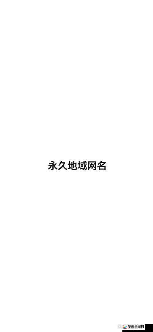 yp51111 最新地域网名是什么：探寻其背后的奥秘与意义