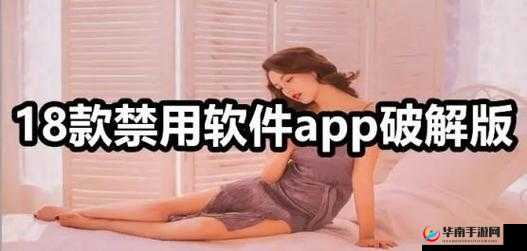 夜里 18 款禁用软件 APP：提供全面限制，守护健康网络环境