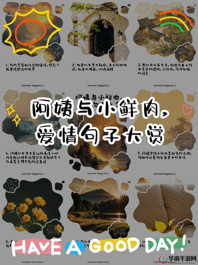 老阿姨喜欢小鲜肉用什么词形容之探讨分析与相关表述