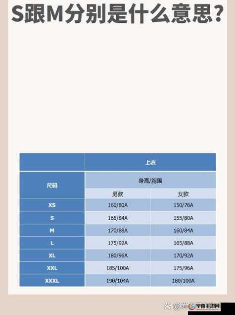 欧洲 S 码和亚洲 M 码尺寸范围：服装选择的关键参考