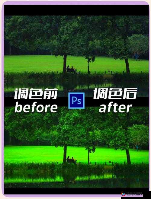 免费 PS 大片调色在线看：让你的视觉享受再度升级