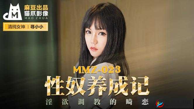 麻豆精品秘 一区二区三区：演绎成人影片的精彩世界