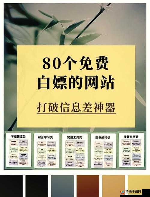 XX 网站：集多种资源于一体，带来丰富体验