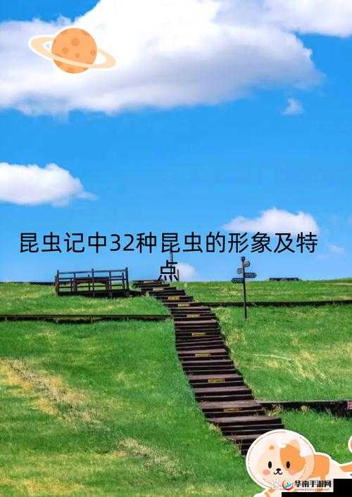 1V.1H 之奇妙的融化现象探索