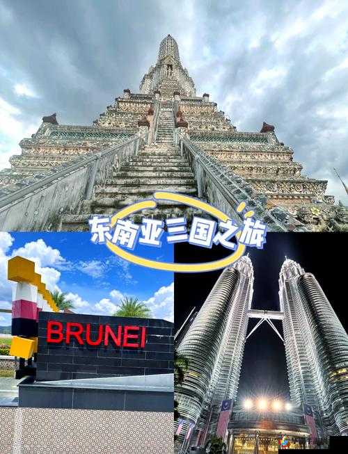 仙踪林 2024：探索未来的奇幻之旅