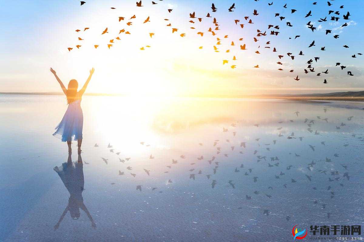 后入海角：那片神秘而令人向往的独特地域