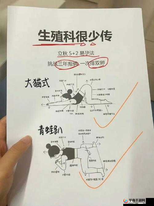 如何更快速有效地拔萝卜的方法探讨