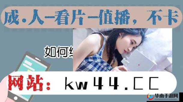 成品网站 W灬源码 1377 二广：揭秘背后的故事