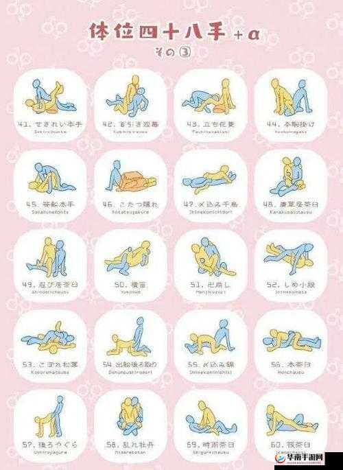 性福七十二式：探索夫妻和谐生活的绝妙秘诀