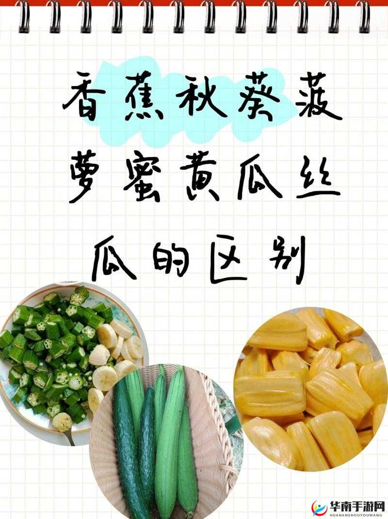 污草莓樱桃丝瓜秋葵榴莲黄瓜白狐：探究不同蔬果的营养价值与食用方法