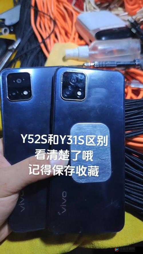 一级成色好的y31s标准版评测登顶人气影视排行-观众的精彩选择