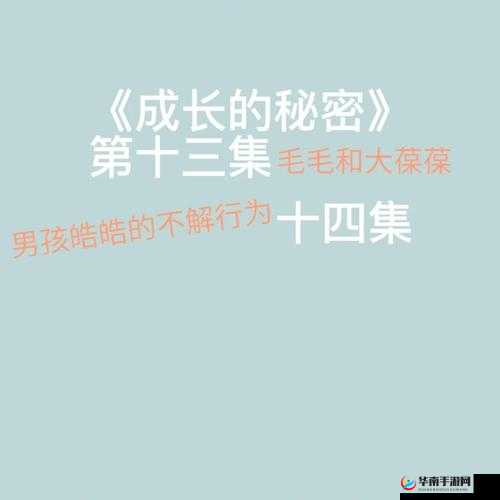 成长的秘密：毛毛葆葆观察记录中的点滴成长奥秘