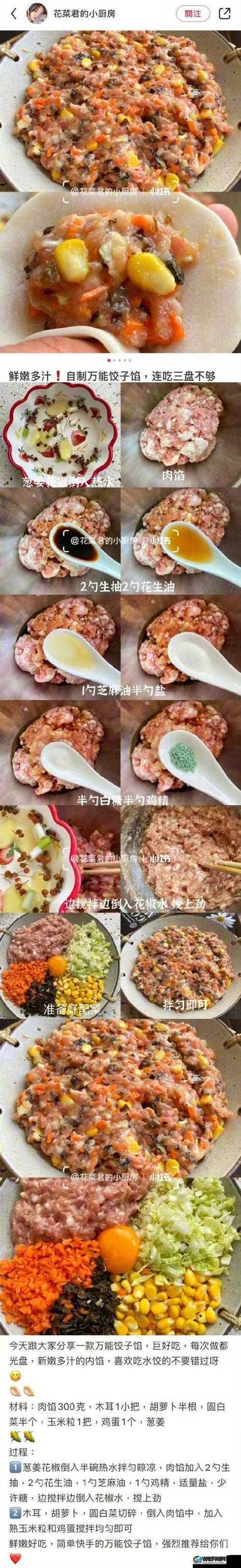 肉馅小水饺的动漫教学：精彩授课方式全解析