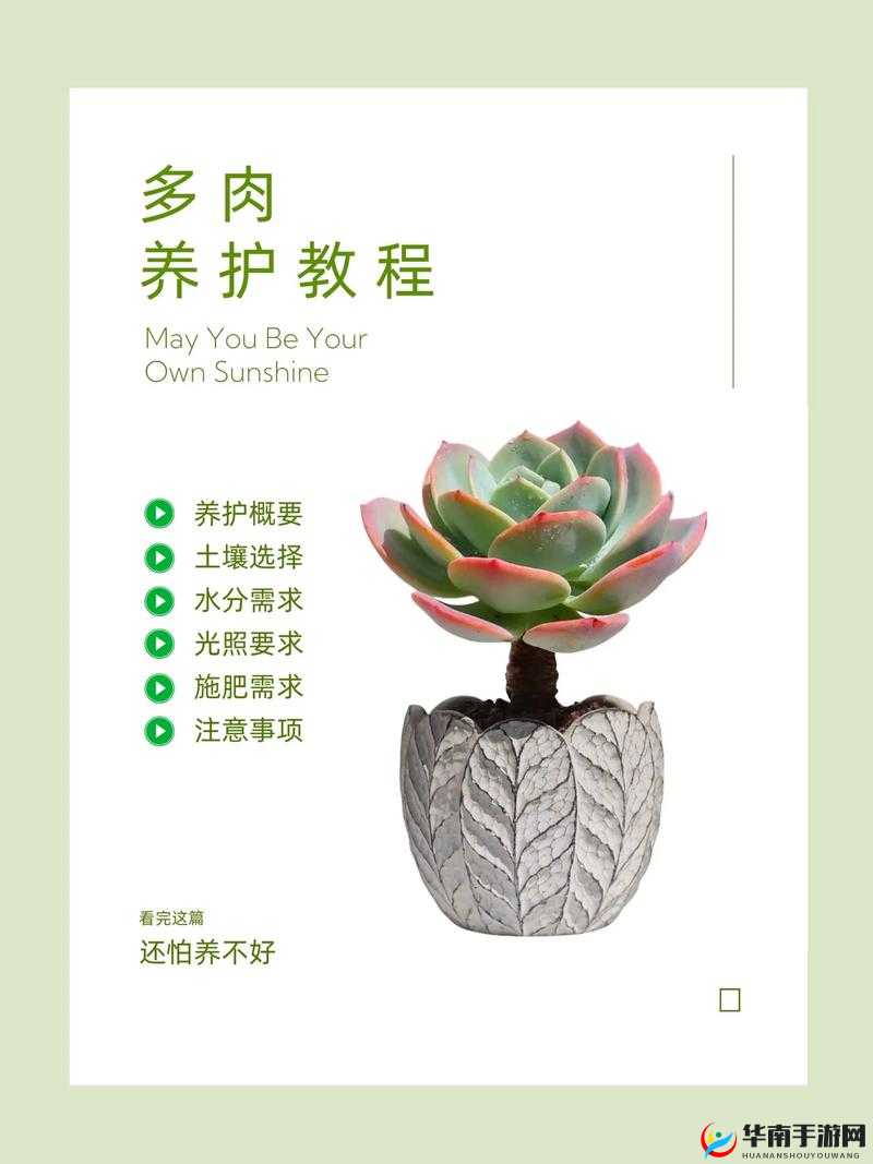 皇家共享小公主多肉怎么养：科学养护，让你的多肉茁壮成长