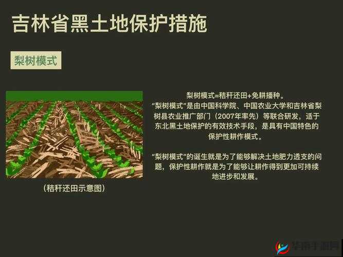 开垦母亲肥沃土地教案：探寻土地的无限可能