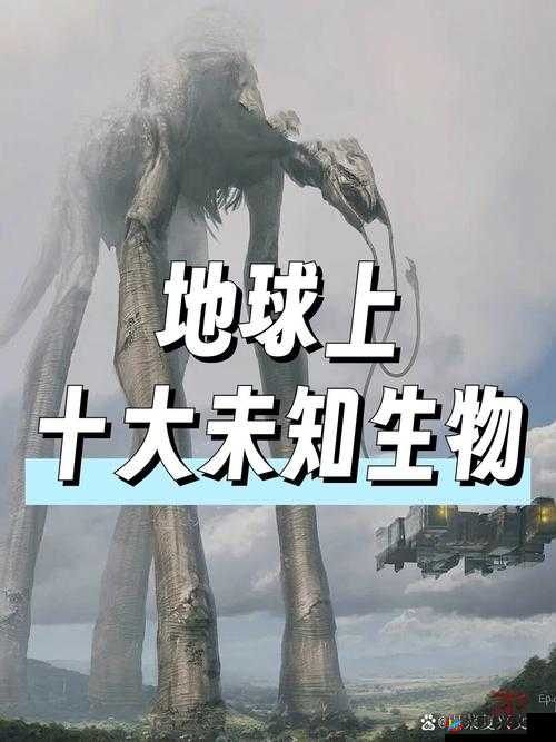 秘密入口 3 秒自动转接连接隐匿通道技术：开启神秘未知的数字之旅