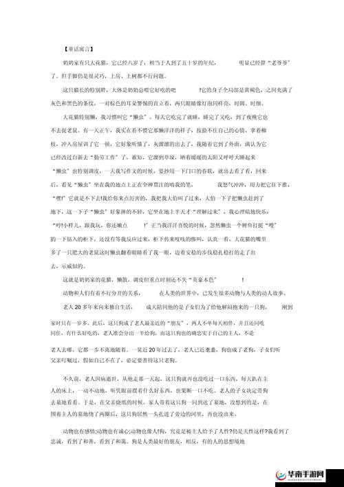 美国人与动物之间那些有趣的故事或美国人与动物相处的别样点滴