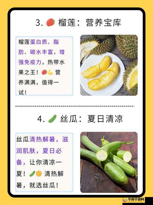草莓茄子秋葵香蕉丝瓜榴莲的奇妙冒险