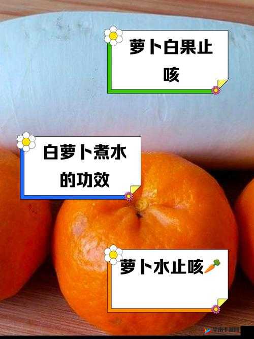 如何让萝卜快速出水：实用小技巧分享