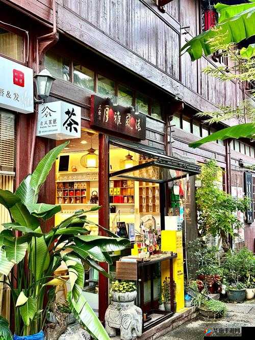 一品色堂怡红院：探寻那独特的古典风情与韵味