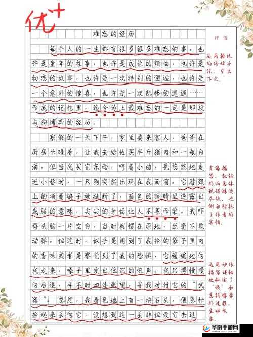 妹妹中考前让我 C 了 1 次作文啊：中考前的特别经历