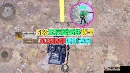 和平精英SKS夜灯，点亮战场，展现独特魅力与炫酷风采