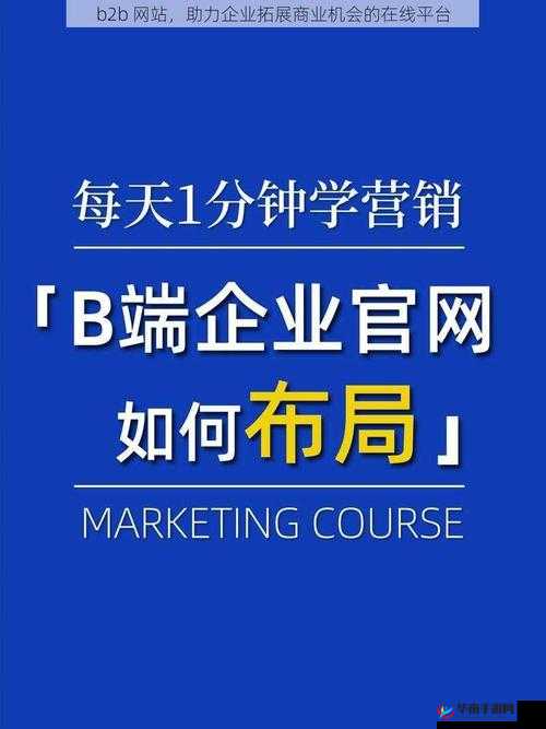 B2B 网站推广 WWW：全方位助力企业拓展商业版图