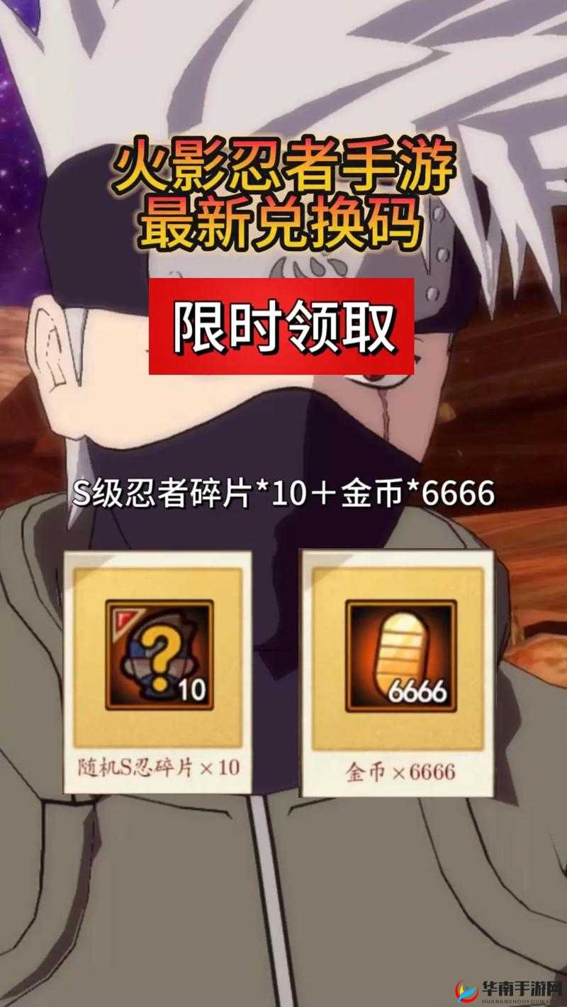 火影忍者手游全面攻略，每日分享机制与金币获取策略深度解析