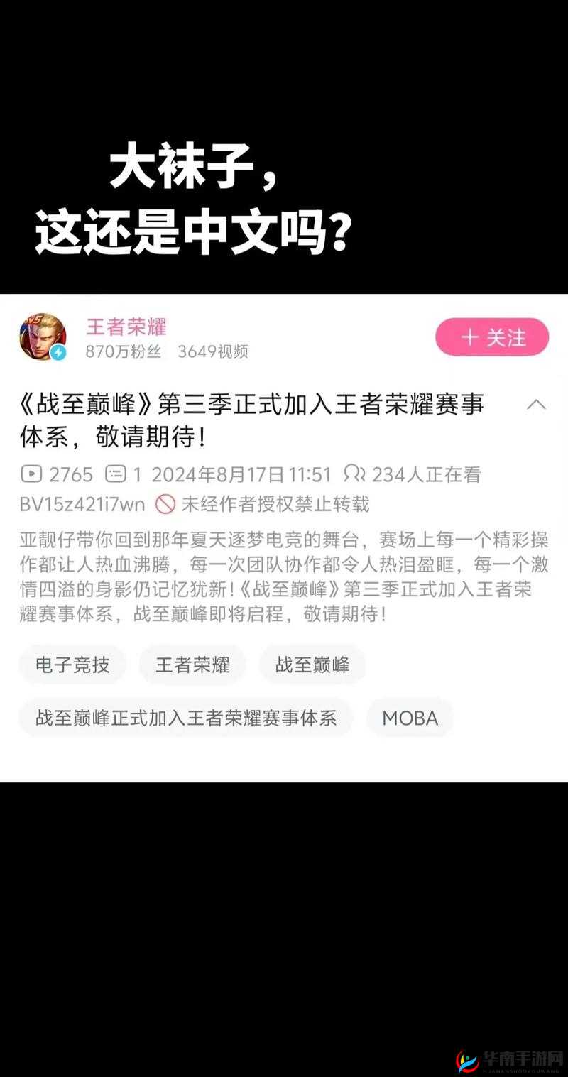 2025年蛇年春节期间，周日晚王者荣耀冠军之战巅峰盛宴