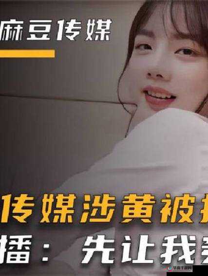 免费麻花豆传媒剧 MV 在线观看：一场视觉与听觉的盛宴