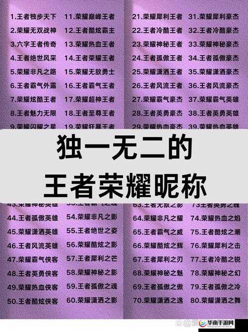 王者荣耀巅峰王者会第二周，新战队加入后的资源高效管理与价值最大化策略