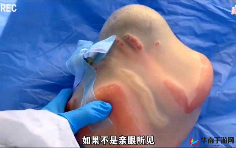 人进羊水门的过程：一段神奇且充满未知的旅程