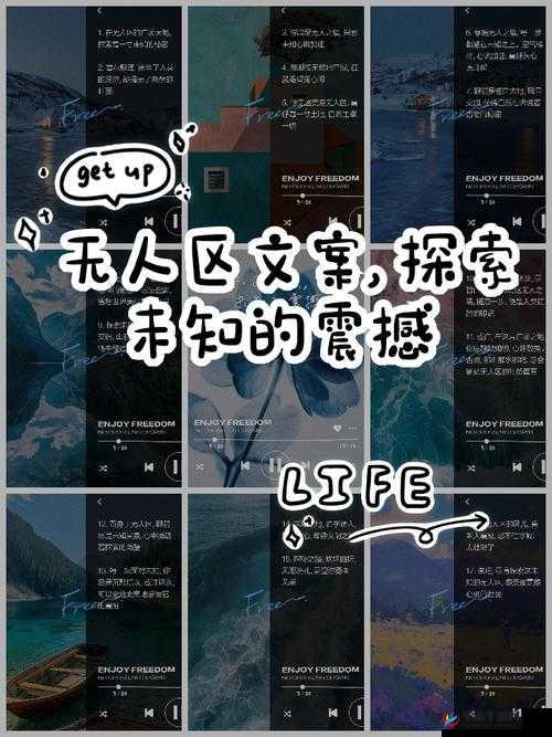 无人区乱码一卡 2 卡 3 卡：探索未知的刺激之旅