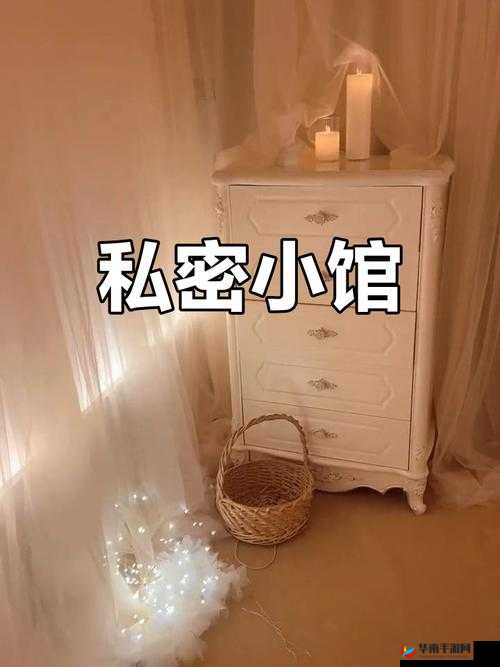 妹妹说家里没人可以：开启不被打扰的私密空间