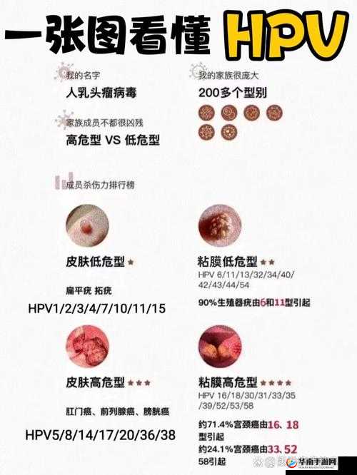 男的乱来女的就一定会得 hpv 吗：关于 hpv 的几个真相