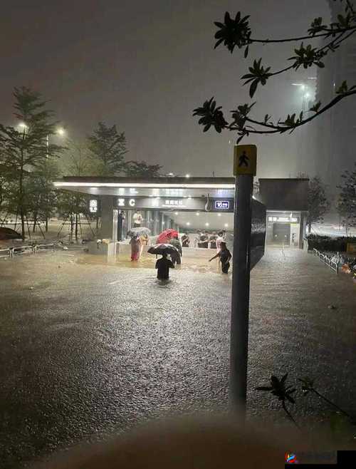 ju162 外勤中突然下大雨：惊险时刻考验团队协作